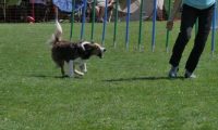 IMG_moosen_2018_538