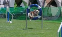 IMG_moosen_2018_541