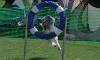 IMG_moosen_2018_554