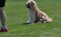 IMG_moosen_2018_556