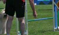 IMG_moosen_2018_558