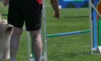 IMG_moosen_2018_559