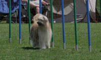 IMG_moosen_2018_573