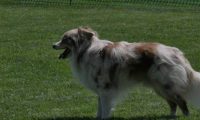IMG_moosen_2018_587