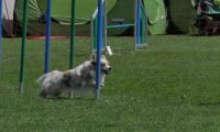 IMG_moosen_2018_592
