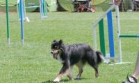IMG_moosen_2018_611
