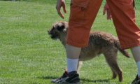 IMG_moosen_2018_612