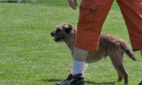IMG_moosen_2018_613