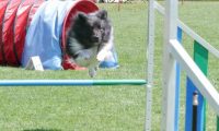 IMG_moosen_2018_637