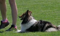 IMG_moosen_2018_639