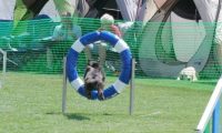 IMG_moosen_2018_654