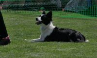 IMG_moosen_2018_657