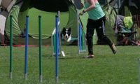 IMG_moosen_2018_665