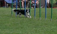 IMG_moosen_2018_669
