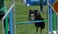 IMG_moosen_2018_673