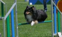 IMG_moosen_2018_674