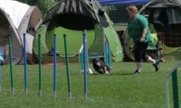 IMG_moosen_2018_678