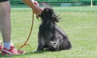 IMG_moosen_2018_702