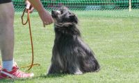 IMG_moosen_2018_703