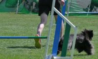 IMG_moosen_2018_708