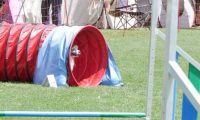 IMG_moosen_2018_717