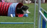 IMG_moosen_2018_734