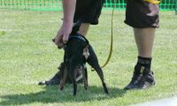IMG_moosen_2018_748