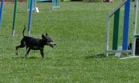 IMG_moosen_2018_751