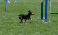 IMG_moosen_2018_752