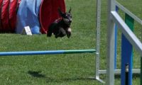 IMG_moosen_2018_763
