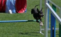 IMG_moosen_2018_764