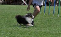 IMG_moosen_2018_767