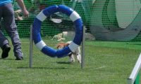 IMG_moosen_2018_773