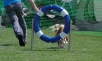 IMG_moosen_2018_774