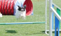 IMG_moosen_2018_782