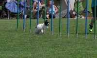 IMG_moosen_2018_792
