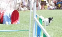 IMG_moosen_2018_821