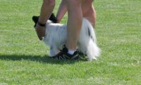 IMG_moosen_2018_830
