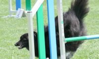 IMG_moosen_2018_831