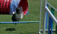 IMG_moosen_2018_853