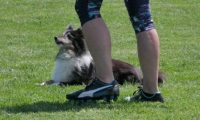 IMG_moosen_2018_867