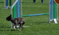 IMG_moosen_2018_879