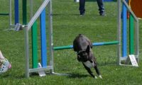 IMG_moosen_2018_881