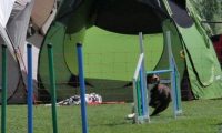 IMG_moosen_2018_043