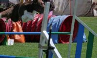 IMG_moosen_2018_046