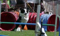 IMG_moosen_2018_052