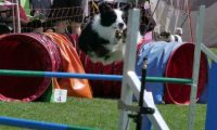 IMG_moosen_2018_053