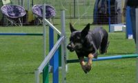 IMG_moosen_2018_054