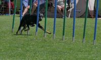 IMG_moosen_2018_062