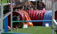 IMG_moosen_2018_064